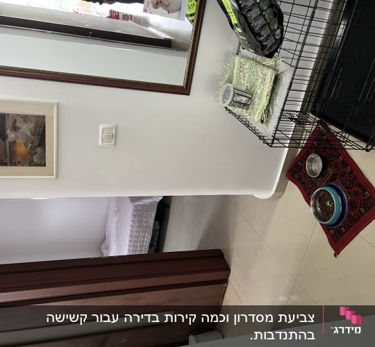 קירות פנים צבועים בלבן בדירה מרוהטת ومודרנית